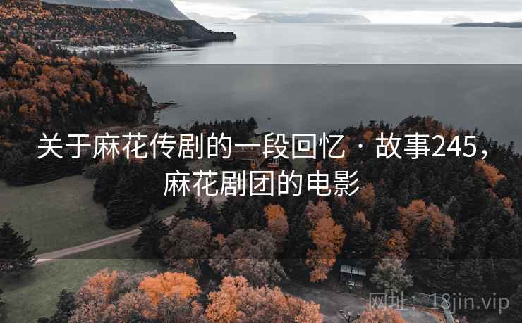 关于麻花传剧的一段回忆 · 故事245，麻花剧团的电影