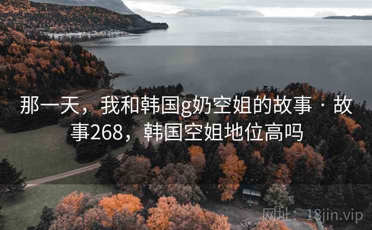 那一天，我和韩国g奶空姐的故事 · 故事268，韩国空姐地位高吗