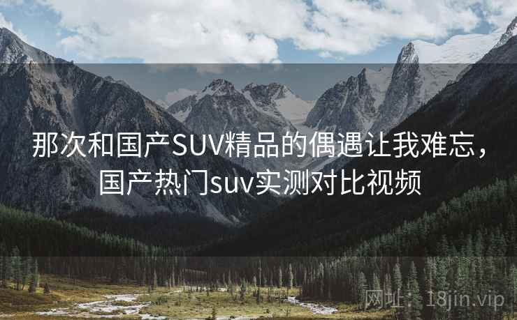 那次和国产SUV精品的偶遇让我难忘，国产热门suv实测对比视频